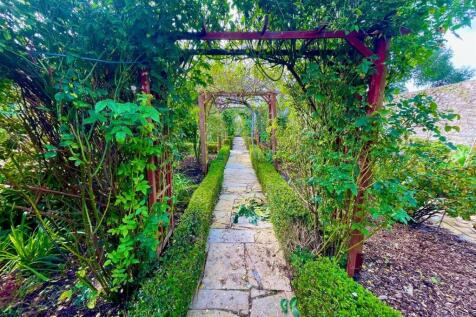 Garden 4.jpg