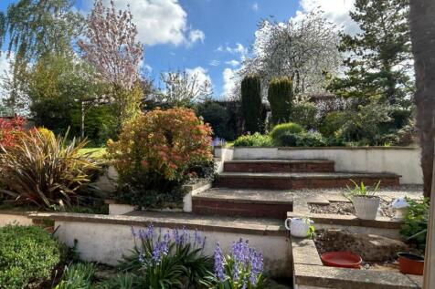 garden.jpg
