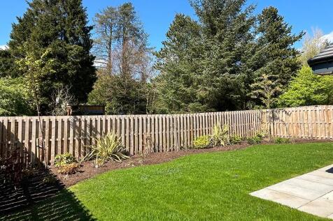 Back garden