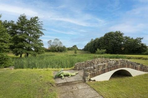 Property Image 44