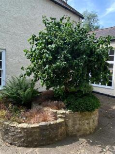 IMG-20250704-WA0030.jpg