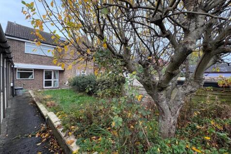 Photo 06-11-2025, 11 05 01.jpg