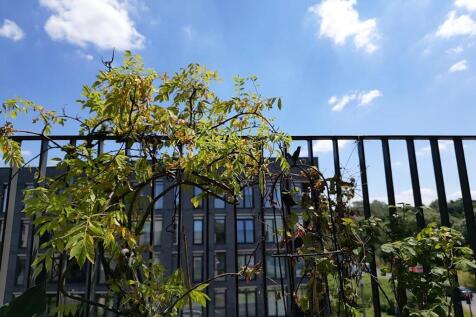 Property Image 7