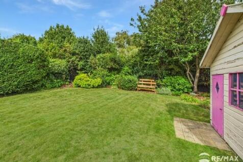 Garden 4.jpg