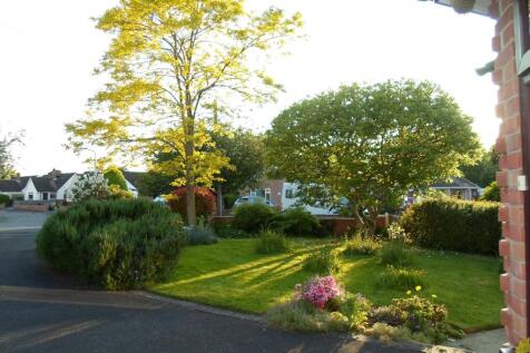 Garden in Summer