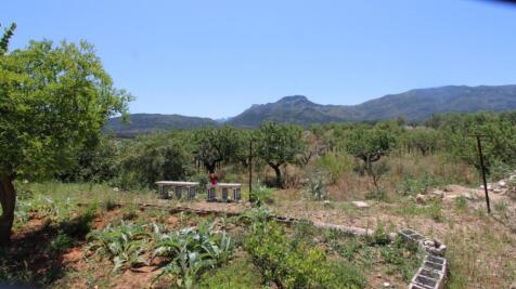 Property Image 36