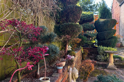 Spring Garden