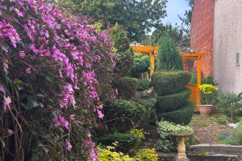 Mature Spring Garden