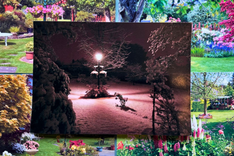 Garden Through The Years