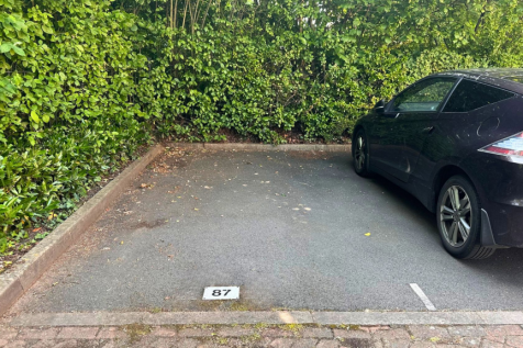 Designated Parking
