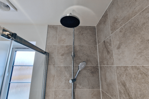 Dual Shower Heads