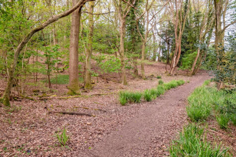 Property Image 33