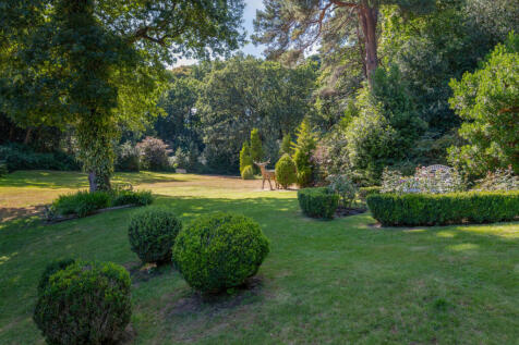 Property Image 30