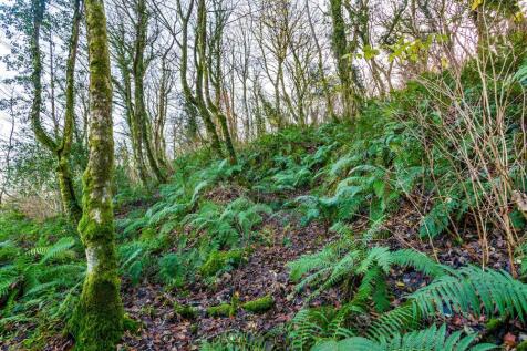 Property Image 67