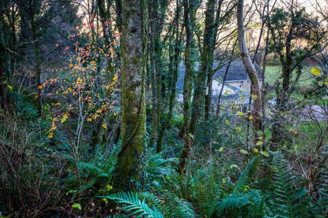 Property Image 68