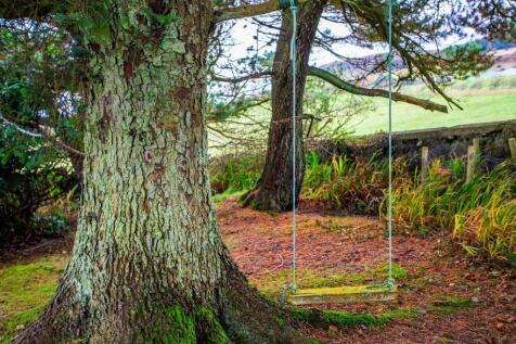 Property Image 65