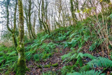Property Image 66