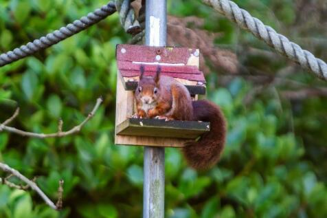 Property Image 75