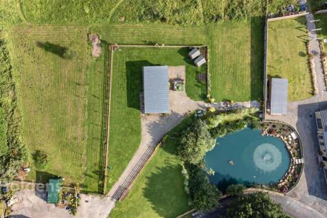 DJI_0951.jpg