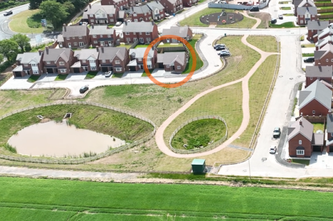 Plot 6