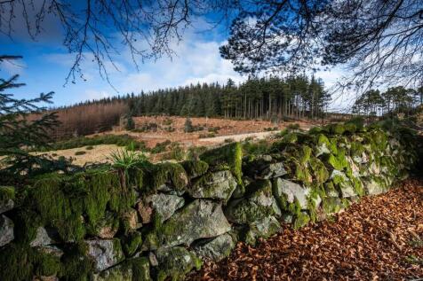 Surrounding local woodland area to Bucksburn