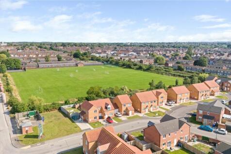 Area Views