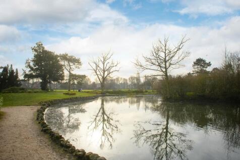 High Forest local area