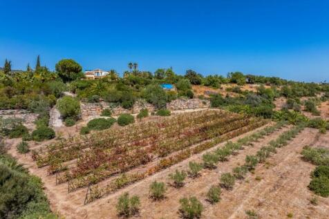DJI_20240903142231_0158_D