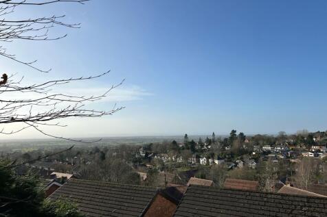The View