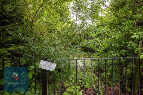 Wildlife Garden