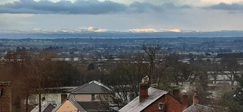 The View