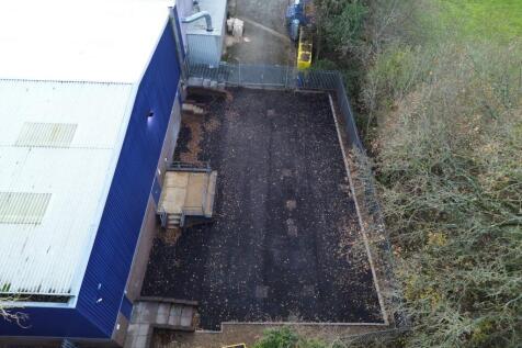 NEW yard.JPG