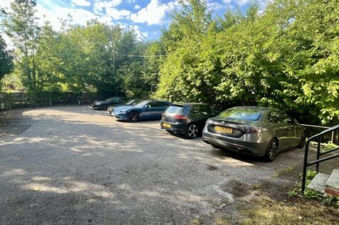 Rear Yard Image.jpg
