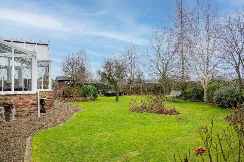 Back Garden