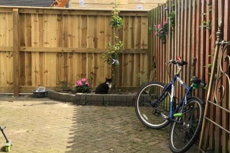 Back Garden