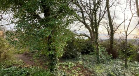 Wood Garden