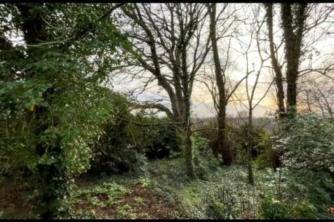 Wood Garden