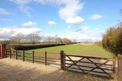 Front Paddock.jpg