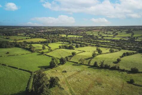 DJI_0361.jpg