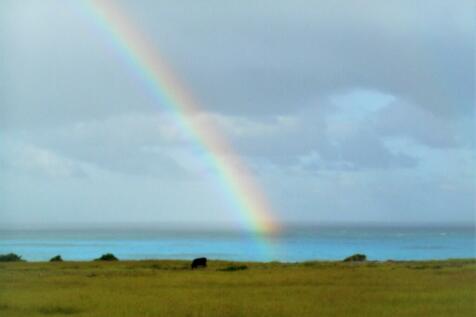 rainbow over ocean