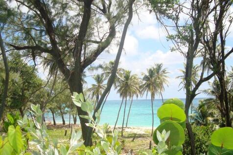 shaded beach