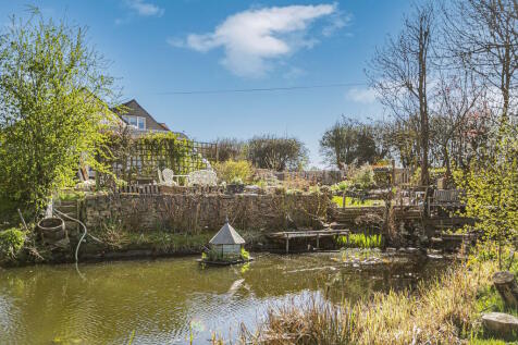 Pond