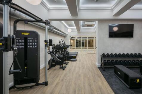 49 Sunlight 3Z7A4015.jpg