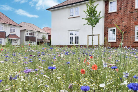 Inspiration - Wildflowers