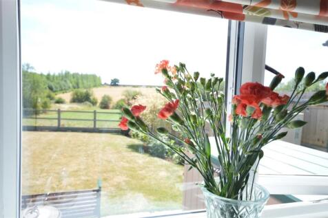 view from kitchen window