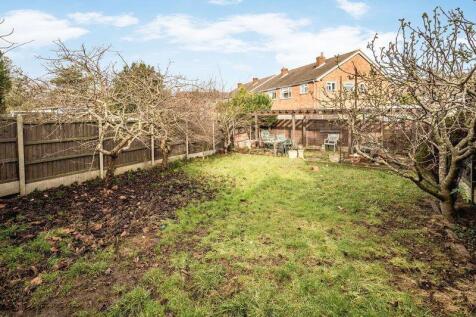 garden 2.jpeg