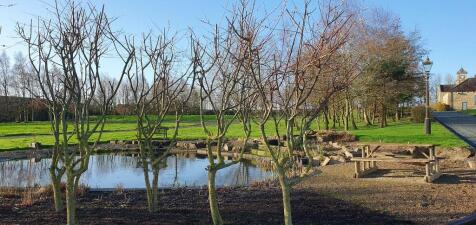 Beautiful grounds