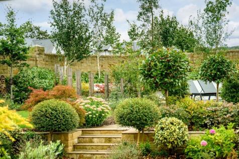 Property Image 56