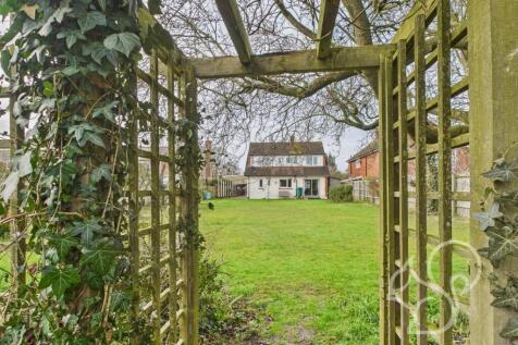 Rear Gardens