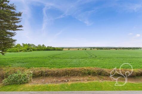 CAM03877G0-PR0179-STILL023.jpg